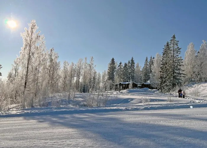 Alpstuga Paritalomoekki Lomariihi 4 *